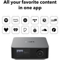 WiiM AMP Ultra Streaming Amplifier with Premium ESS ES9039Q2M DAC